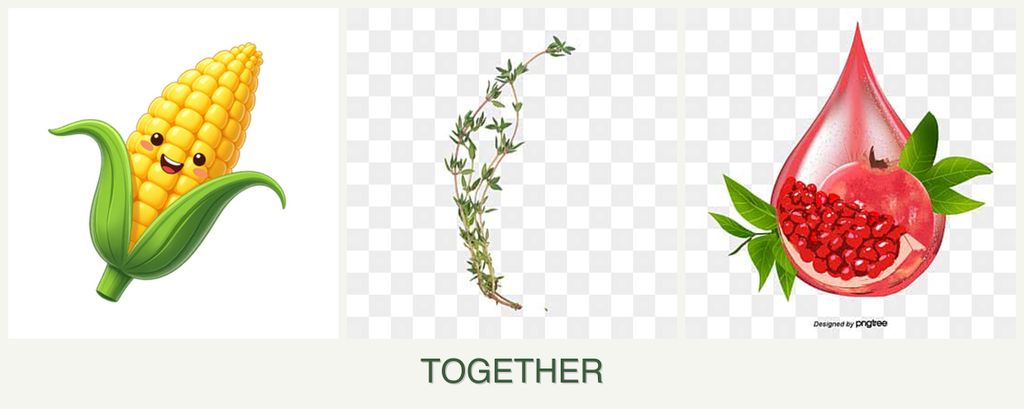 Can you plant corn, thyme and pomegranates together?