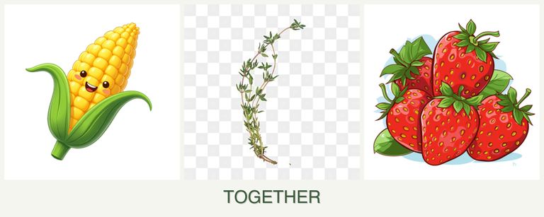 Can you plant corn, thyme and strawberries together?