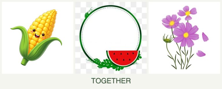 Can you plant corn, watermelons and cosmos together?