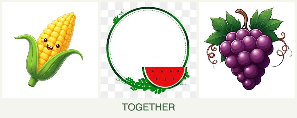 Can you plant corn, watermelons and grapes together?
