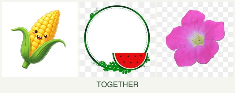 Can you plant corn, watermelons and petunias together?