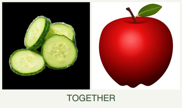 Can you plant cucumbers and apples together?