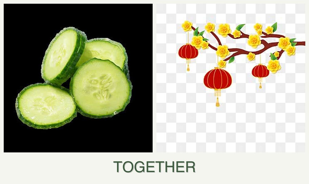 Can you plant cucumbers and apricots together?