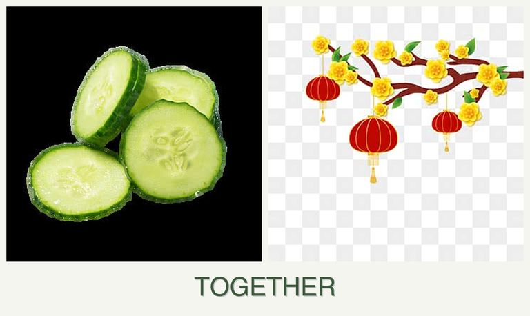 Can you plant cucumbers and apricots together?