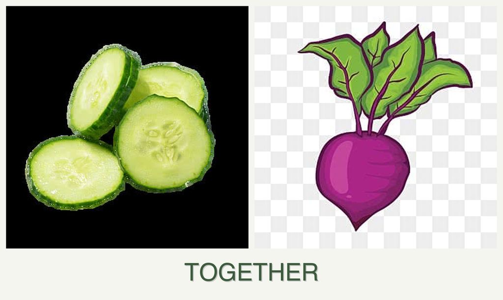 Can you plant cucumbers and beets together?