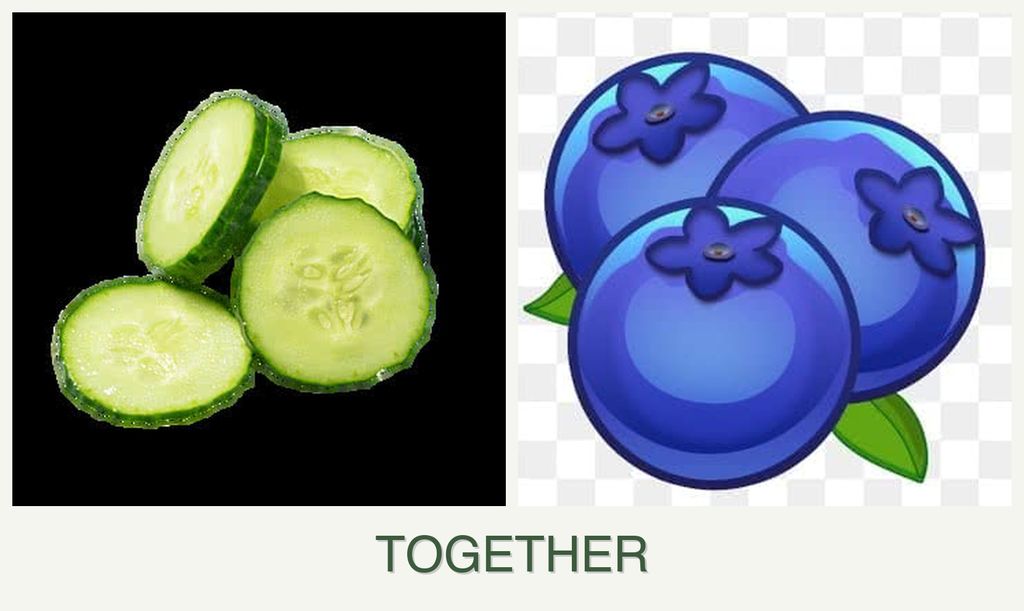 Can you plant cucumbers and blueberries together?