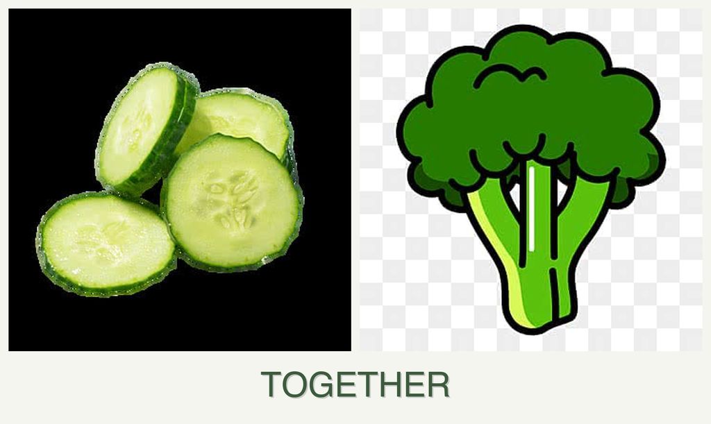Can you plant cucumbers and broccoli together?