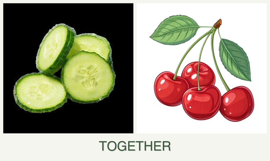 Can you plant cucumbers and cherries together?