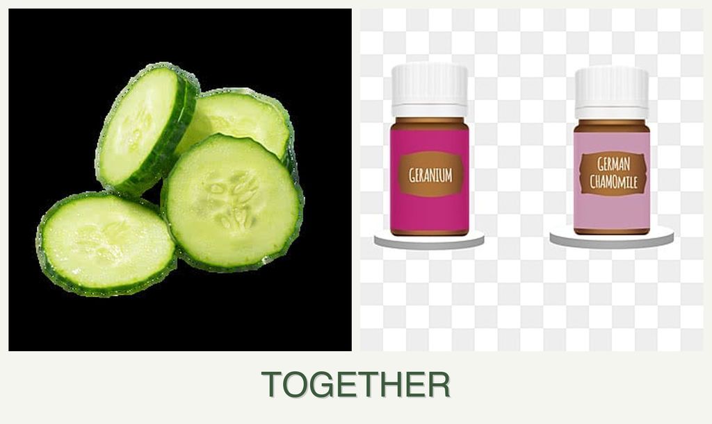 Can you plant cucumbers and geraniums together?