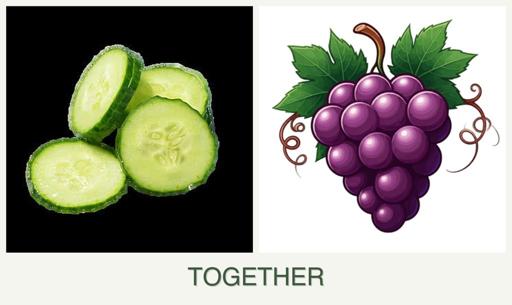 Can you plant cucumbers and grapes together?