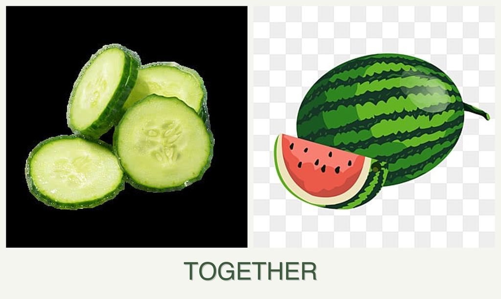Can you plant cucumbers and melons together?