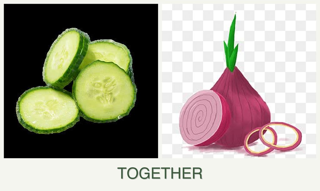Can you plant cucumbers and onions together?