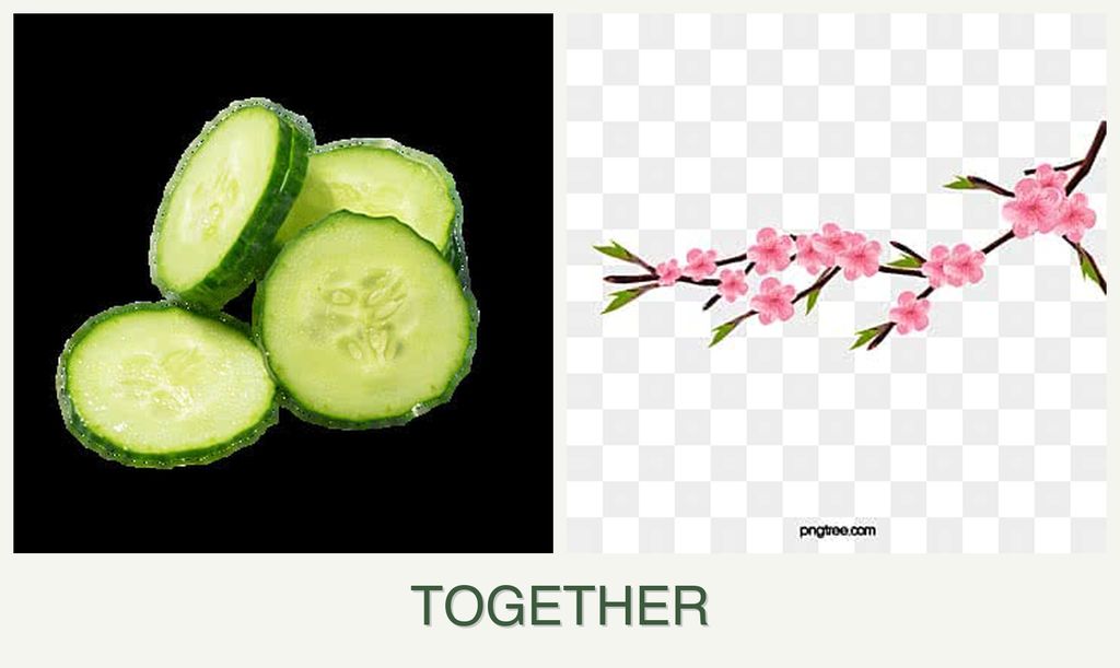 Can you plant cucumbers and peaches together?