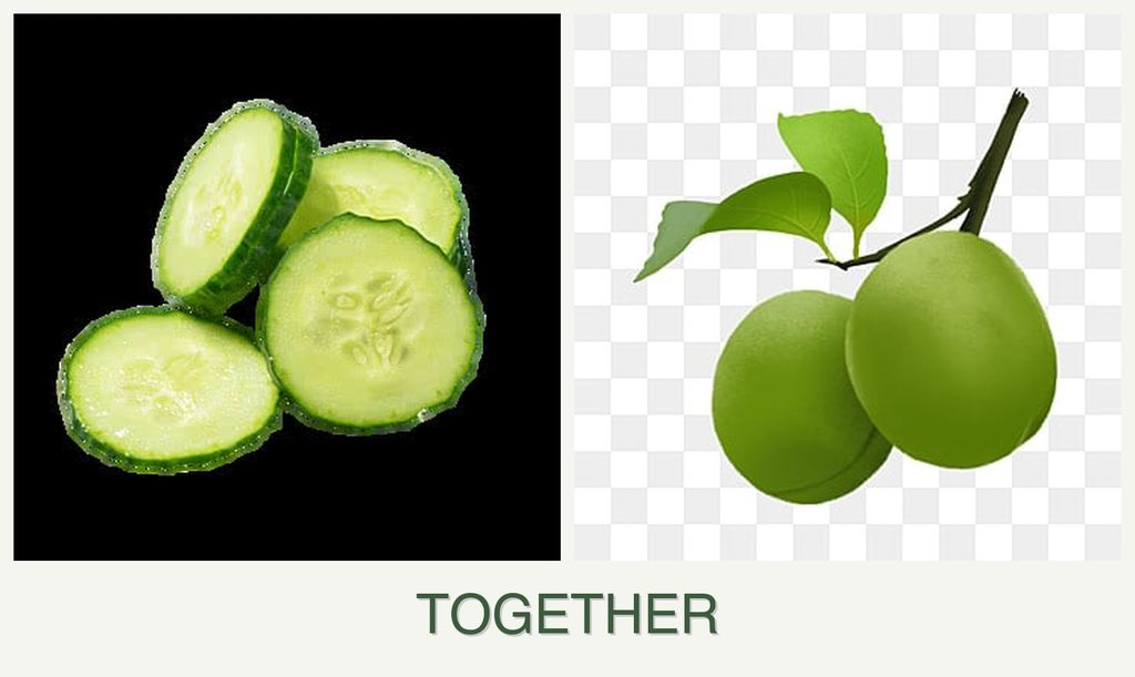 Can you plant cucumbers and plums together?