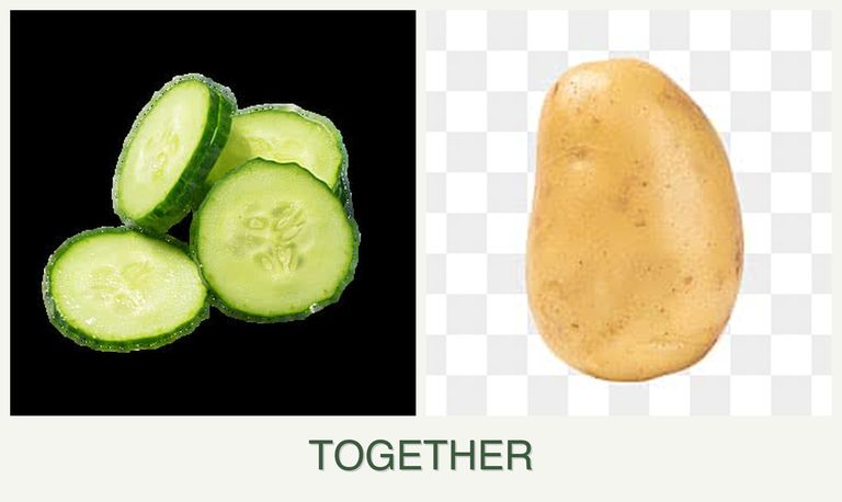 Can you plant cucumbers and potatoes together?