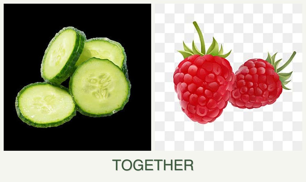 Can you plant cucumbers and raspberries together?