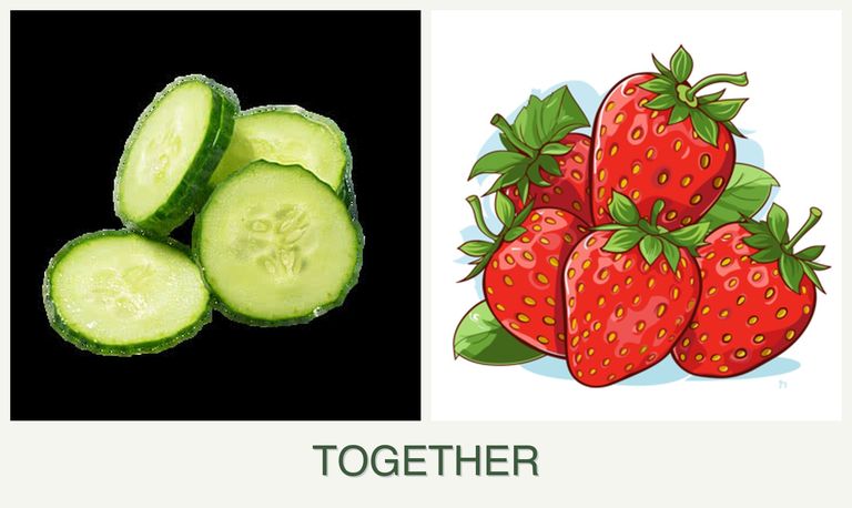 Can you plant cucumbers and strawberries together?