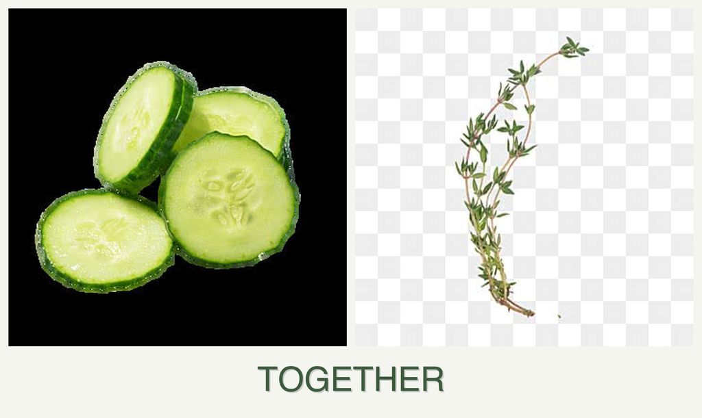 Can you plant cucumbers and thyme together?