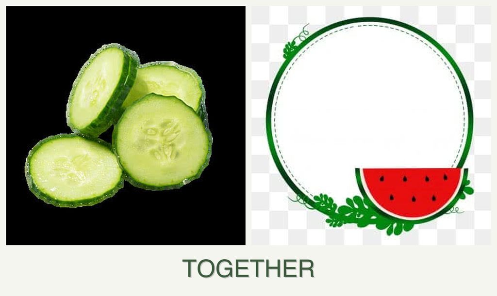 Can you plant cucumbers and watermelons together?