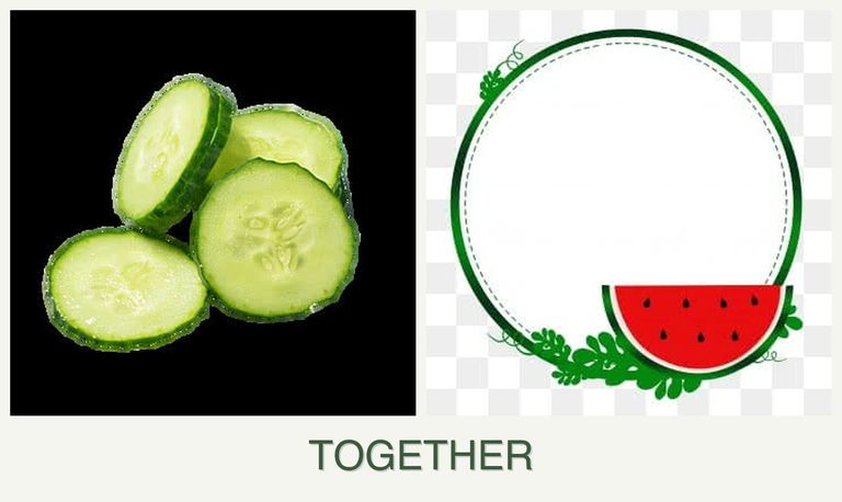 Can you plant cucumbers and watermelons together?