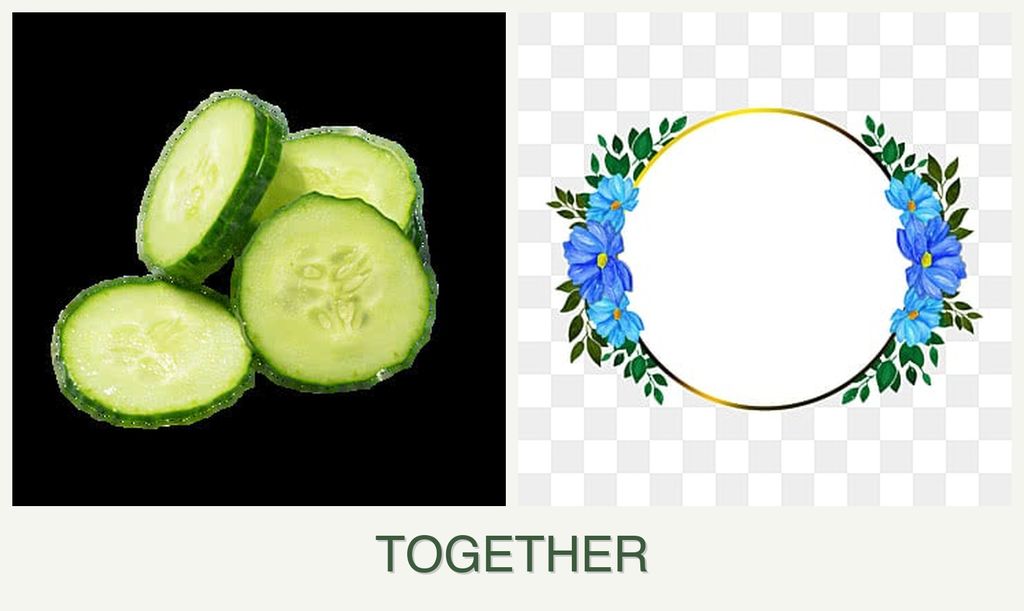 Can you plant cucumbers and zinnias together?