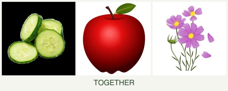 Can you plant cucumbers, apples and cosmos together?