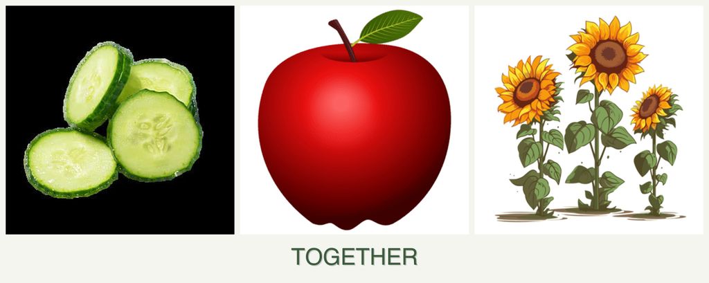 Can you plant cucumbers, apples and sunflowers together?