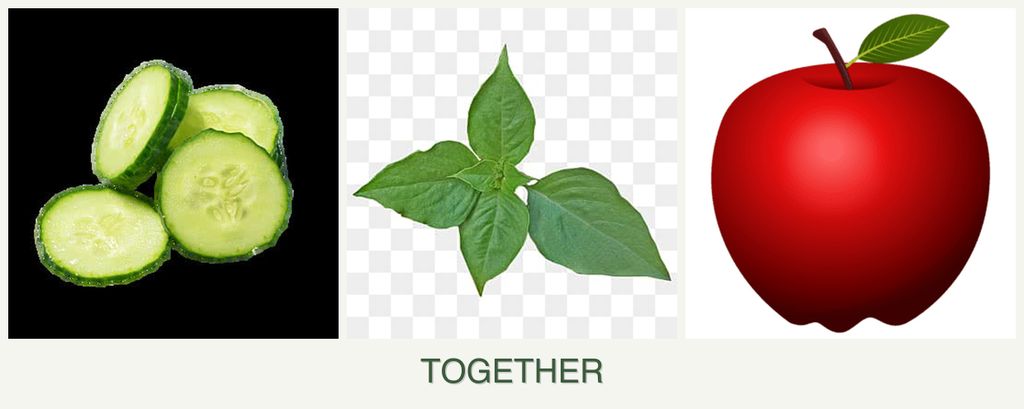 Can you plant cucumbers, basil and apples together?
