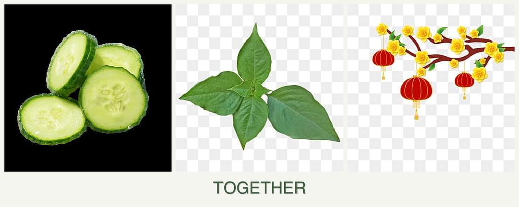 Can you plant cucumbers, basil and apricots together?
