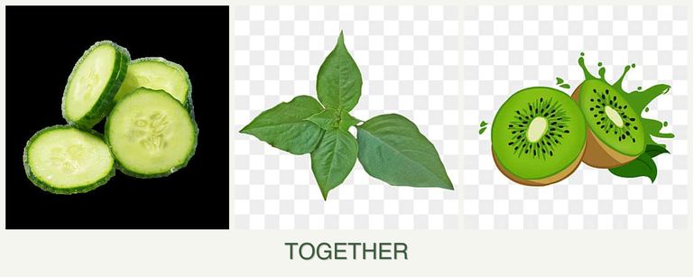 Can you plant cucumbers, basil and kiwi together?