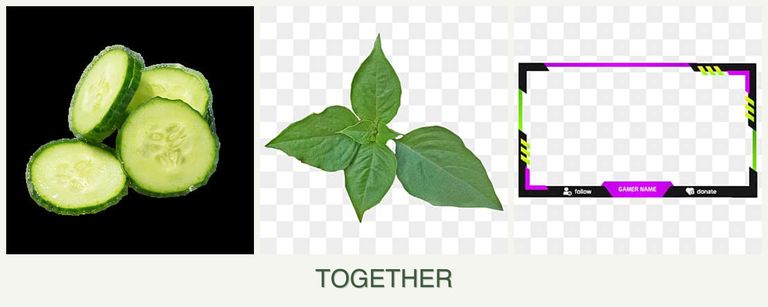 Can you plant cucumbers, basil and limes together?