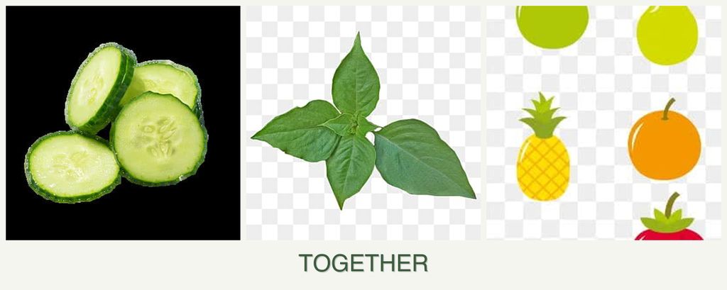 Can you plant cucumbers, basil and pears together?