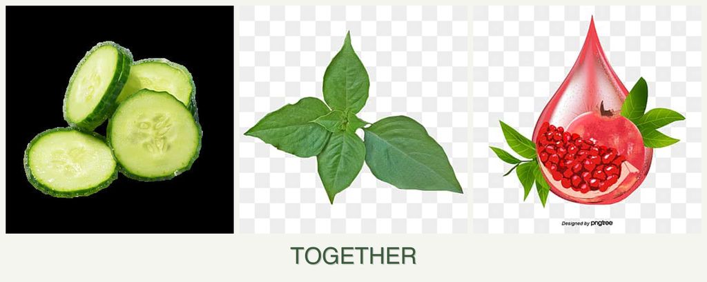 Can you plant cucumbers, basil and pomegranates together?