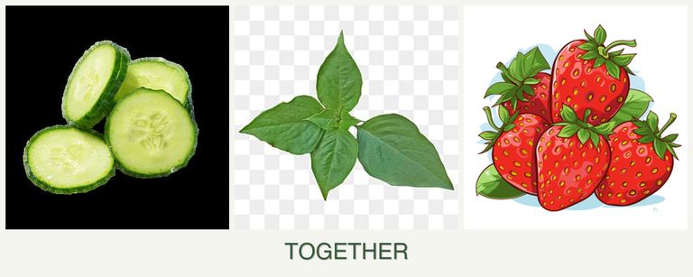 Can you plant cucumbers, basil and strawberries together?
