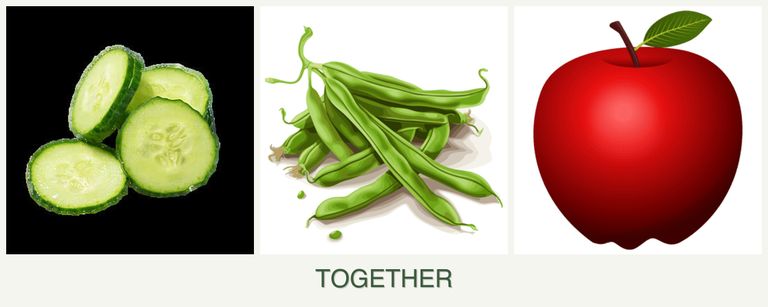 Can you plant cucumbers, beans and apples together?