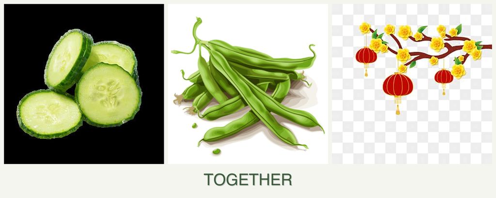 Can you plant cucumbers, beans and apricots together?