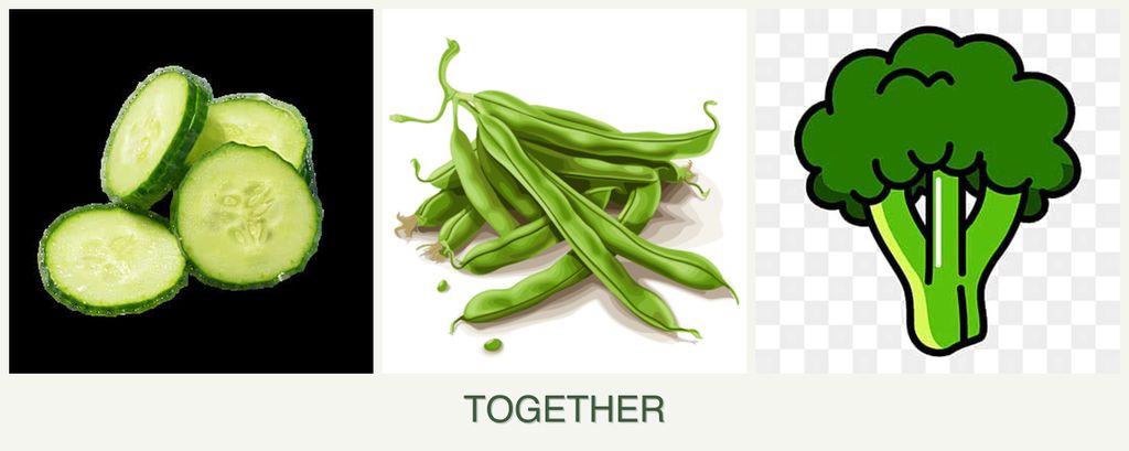 Can you plant cucumbers, beans and broccoli together?