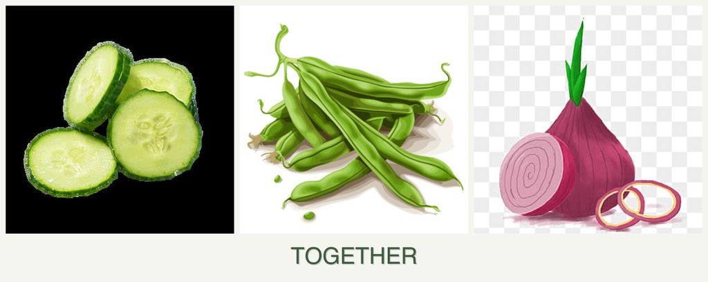Can you plant cucumbers, beans and onions together?