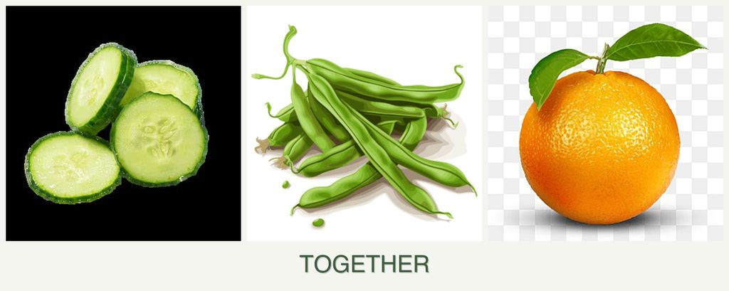 Can you plant cucumbers, beans and oranges together?