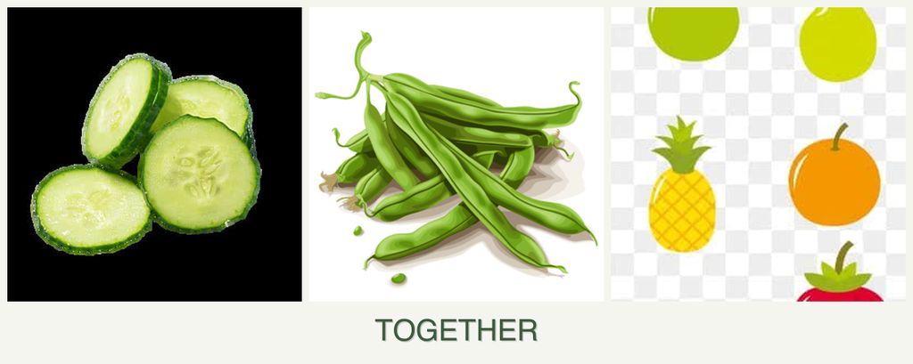 Can you plant cucumbers, beans and pears together?