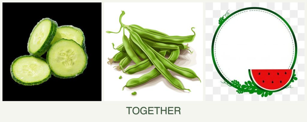 Can you plant cucumbers, beans and watermelons together?