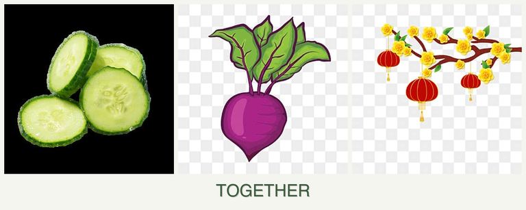 Can you plant cucumbers, beets and apricots together?