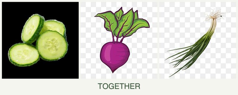 Can you plant cucumbers, beets and chives together?