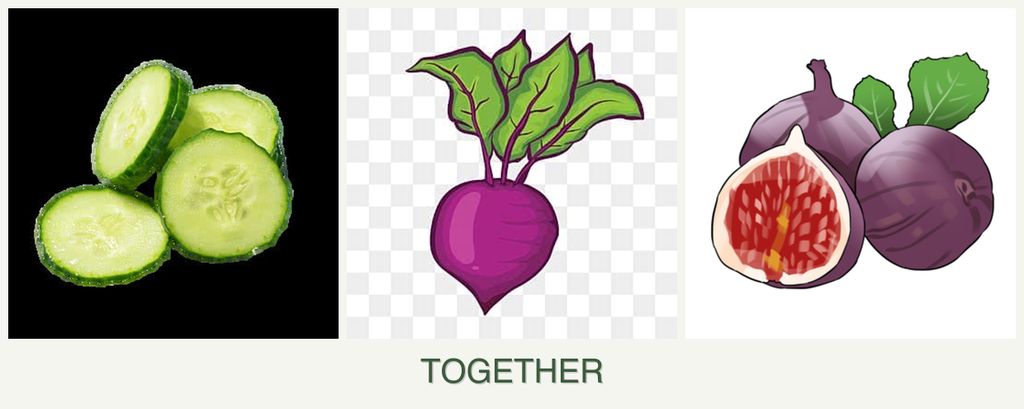 Can you plant cucumbers, beets and figs together?