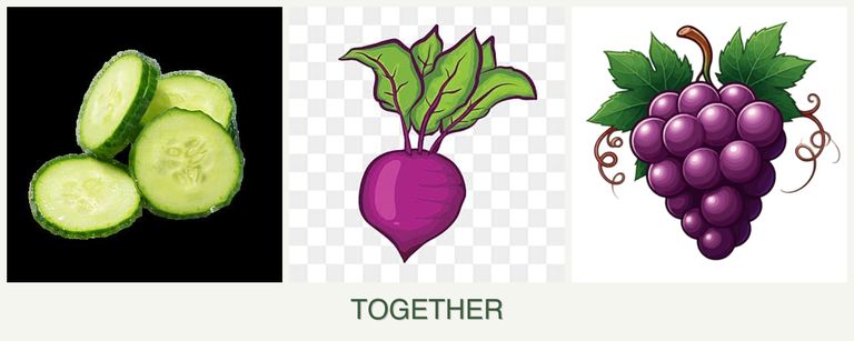 Can you plant cucumbers, beets and grapes together?