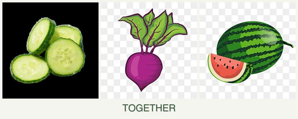 Can you plant cucumbers, beets and melons together?