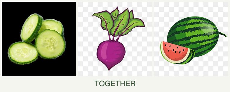 Can you plant cucumbers, beets and melons together?