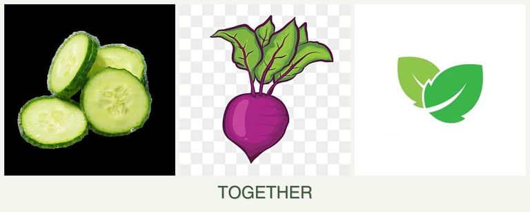 Can you plant cucumbers, beets and mint together?