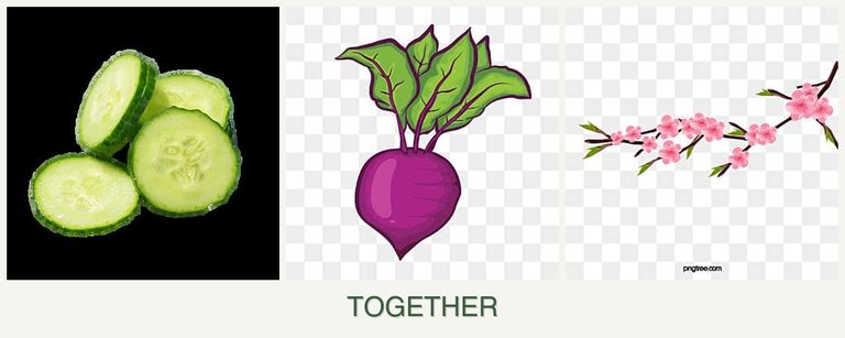 Can you plant cucumbers, beets and peaches together?