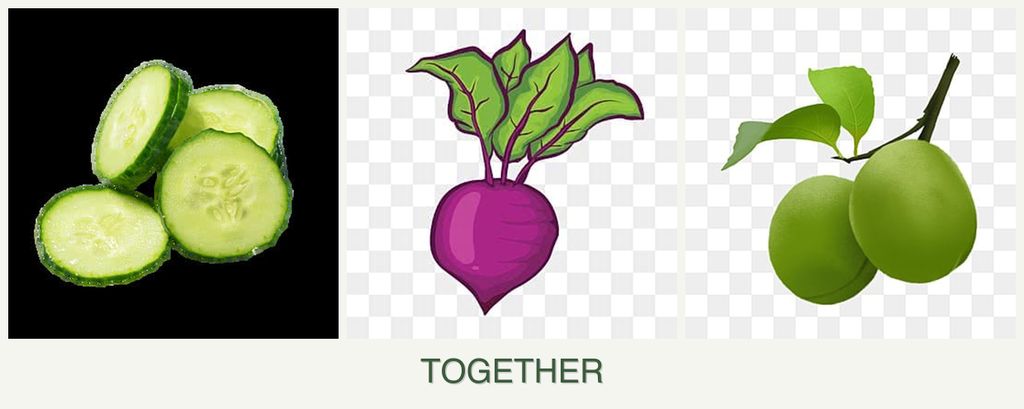 Can you plant cucumbers, beets and plums together?